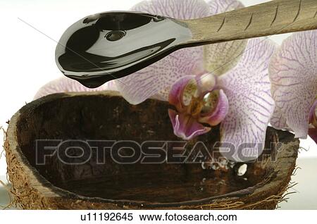 Stock Photography - Coconut shell with coconut oil. Fotosearch