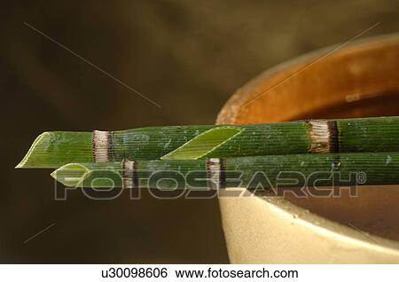 Stock Photograph - Horse tails. Fotosearch