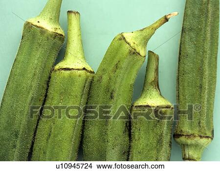 Picture - Lady's fingers (Hibiscus esculentus). Fotosearch