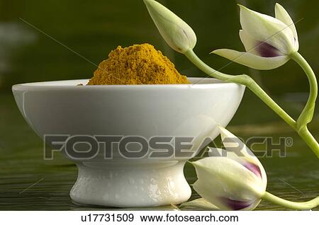 Stock Photo - Motar. Fotosearch