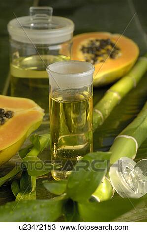 Pawpaw tree body oil View Large Photo Image Stock Image - Pawpaw tree body oil. Fotosearch