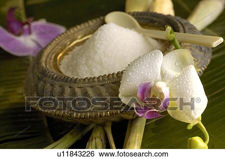 Peeling in a bowl and a orchid blossom View Large Photo Image Stock Photograph - Peeling in a bowl and a orchid blossom. Fotosearch