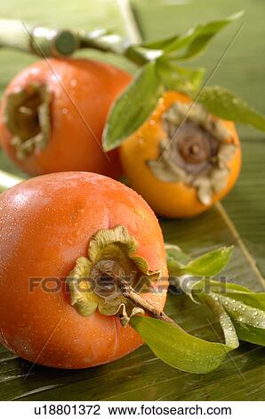 Persimmons View Large Photo Image Stock Image - Persimmons. Fotosearch
