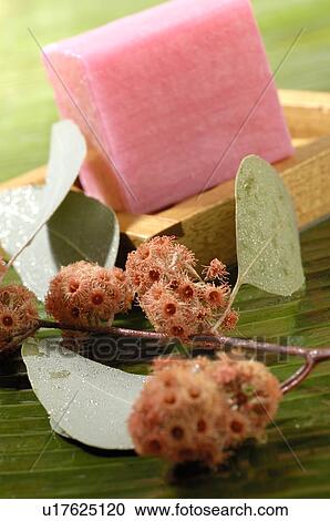 Stock Image - Pink soap bar. Fotosearch
