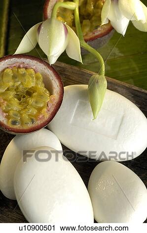 Soap passion fruit and orchid blossoms View Large Photo Image Stock Image - Soap passion fruit and orchid blossoms. Fotosearch