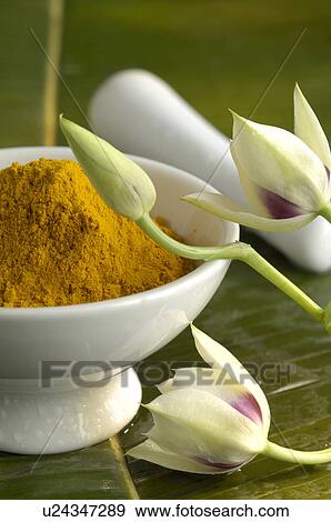 Stock Photo - Turmeric powder. Fotosearch