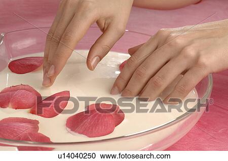 Stock Image - Handbath with rose petals. Fotosearch