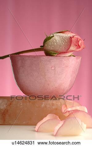 Stock Image - Rose on a bowl. Fotosearch