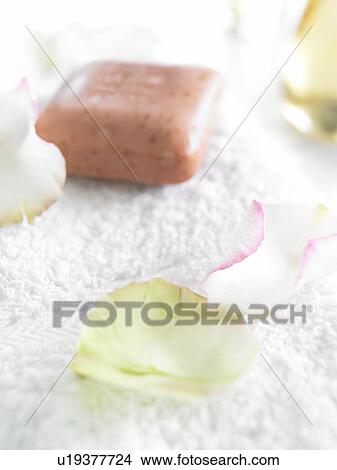 Picture - Rose soap bar. Fotosearch