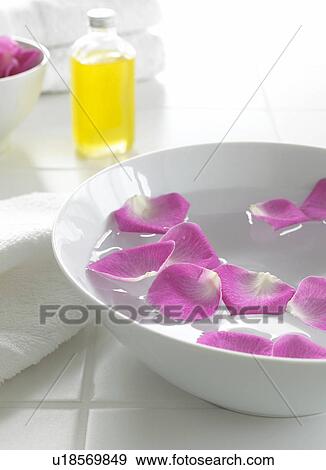 Swimming rose petals in a bowl View Large Photo Image Stock Photo - Swimming rose petals in a bowl. Fotosearch
