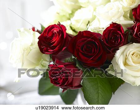 White and red rose bouquet View Large Photo Image Picture - White and red rose bouquet. Fotosearch