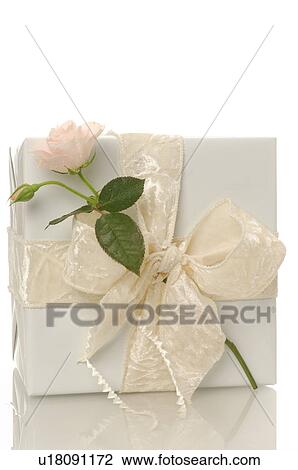 Stock Image - White gift with a pink rose. Fotosearch