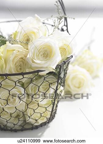 Stock Photo - Withe roses in a iron basket. Fotosearch