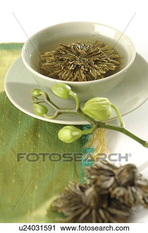 Green tea with a tea rose View Large Photo Image Stock Image - Green tea with a tea rose. Fotosearch