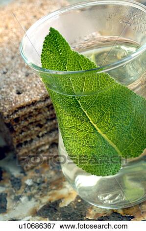 Sage tea View Large Photo Image Stock Photo - Sage tea. Fotosearch
