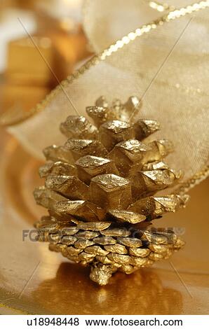 Stock Photo - Golden fir cone. Fotosearch