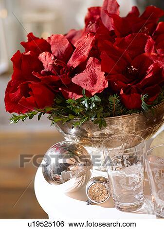 Stock Photograph - Red amaryllis on the Christmas table. Fotosearch