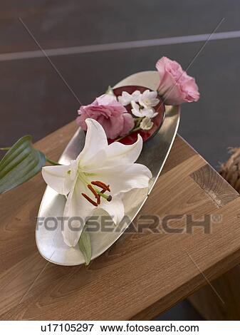 Blossoms in a bowl View Large Photo Image Stock Photo - Blossoms in a bowl. Fotosearch