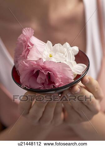 Lily blossoms View Large Photo Image Stock Image - Lily blossoms. Fotosearch