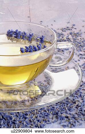 Picture - A cup of lavender tea. Fotosearch