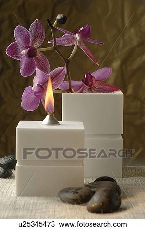 Aroma oil lamp and orchid blossoms View Large Photo Image Stock Image - Aroma oil lamp and orchid blossoms. Fotosearch