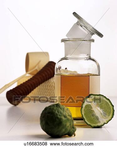 Bergamot oil (with kaffir lime, massage roller) View Large Photo Image Stock Photo - Bergamot oil (with kaffir lime, massage roller). Fotosearch