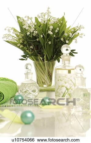 Bouquet of lily of the valley in the bathroom View Large Photo Image Stock Photograph - Bouquet of lily of the valley in the bathroom. Fotosearch