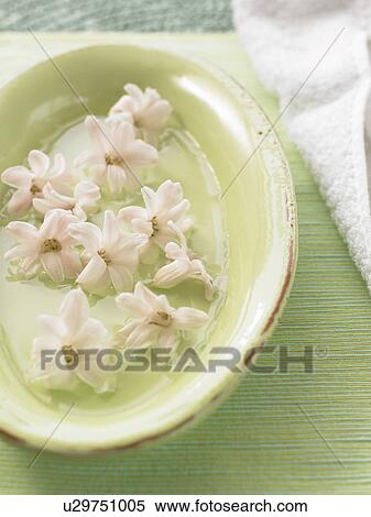 Bowl decorated with flowers View Large Photo Image Stock Photography - Bowl decorated with flowers. Fotosearch