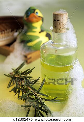 Herbal shampoo with rosemary View Large Photo Image Stock Photography - Herbal shampoo with rosemary. Fotosearch