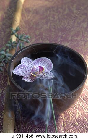 Stock Photo - Orchid blossom swimming in a bowl. Fotosearch