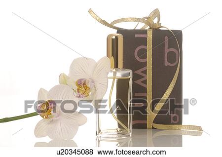 Orchid blossoms and perfume bottle View Large Photo Image Stock Photo - Orchid blossoms and perfume bottle. Fotosearch