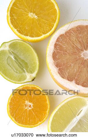 Sliced citrus fruits View Large Photo Image Stock Image - Sliced citrus fruits. Fotosearch