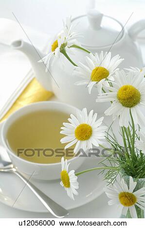 Stock Image - Tea pot and tea cup with camomile. Fotosearch