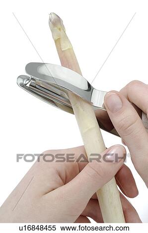Asparagus peeler View Large Photo Image Stock Photography - Asparagus peeler. Fotosearch