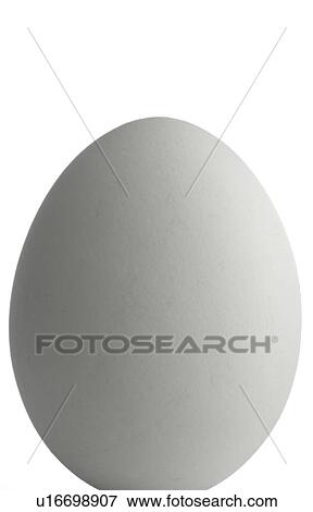 Stock Photo - Egg. Fotosearch