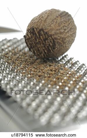 Stock Photography - Grating nutmeg. Fotosearch