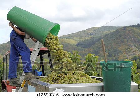 Stock Photograph - Vintage. Fotosearch