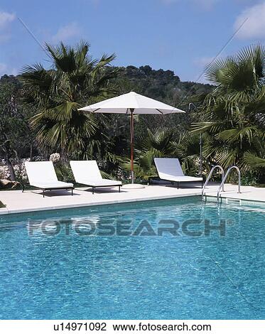Stock Image - Swimming pool with palm trees and white chaises. Fotosearch