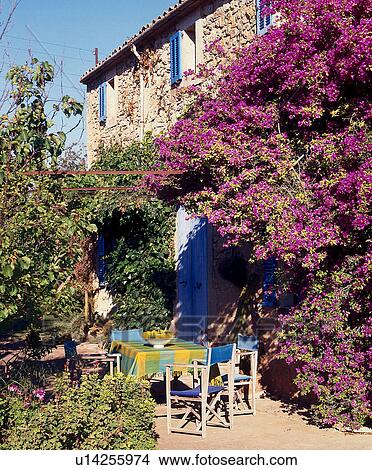 Picture - Table under bougainvillea. Fotosearch
