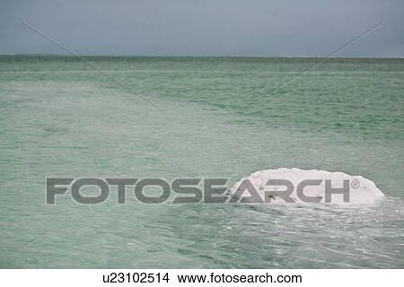 Picture - Salt in Dead Sea. Fotosearch