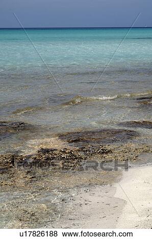 Stock Photo - Sea water with algas. Fotosearch