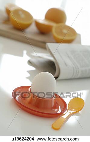 Picture - a egg and oranges. Fotosearch