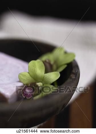 Picture - orchid blossom in an wooden dish. Fotosearch