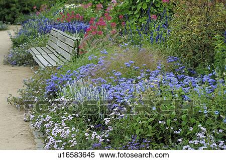 Bench At The Flower Bed Stock Photography U16583645 Fotosearch