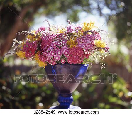 Stock Photo - bouquet of summer flowers. Fotosearch