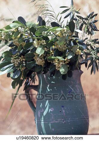 Stock Image - flowers and branches. Fotosearch