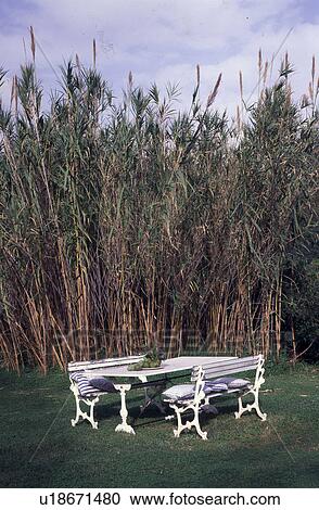 Stock Image - garden funiture in front of giant bamboo. Fotosearch
