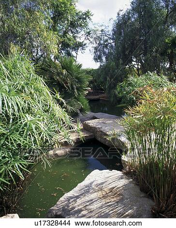 garden pond View Large Photo Image Picture - garden pond. Fotosearch