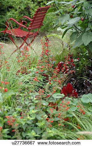 Stock Photo - red wooden garden chair. Fotosearch