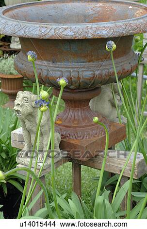 Picture - rusty tub. Fotosearch